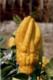 Flower Gardening
